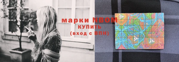 эйфоретик Баксан
